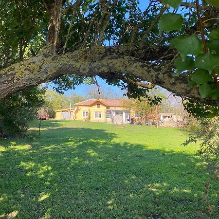Ferienhaus Primorska Sunshine In Strandnaehe Şabla Exterior foto