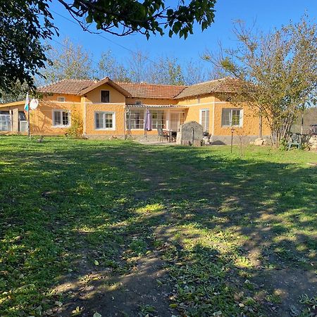 Ferienhaus Primorska Sunshine In Strandnaehe Şabla Exterior foto