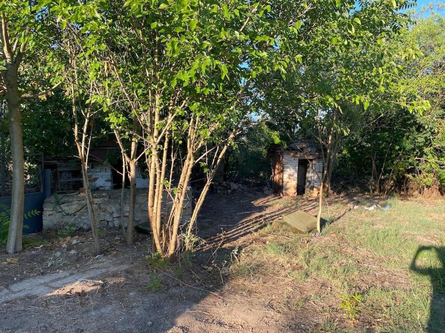 Ferienhaus Primorska Sunshine In Strandnaehe Şabla Exterior foto