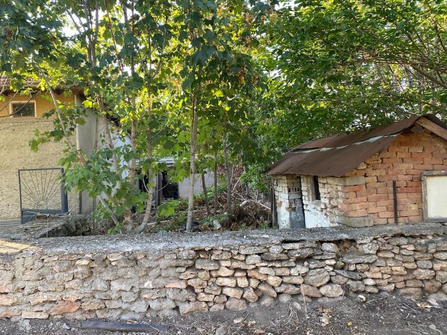 Ferienhaus Primorska Sunshine In Strandnaehe Şabla Exterior foto