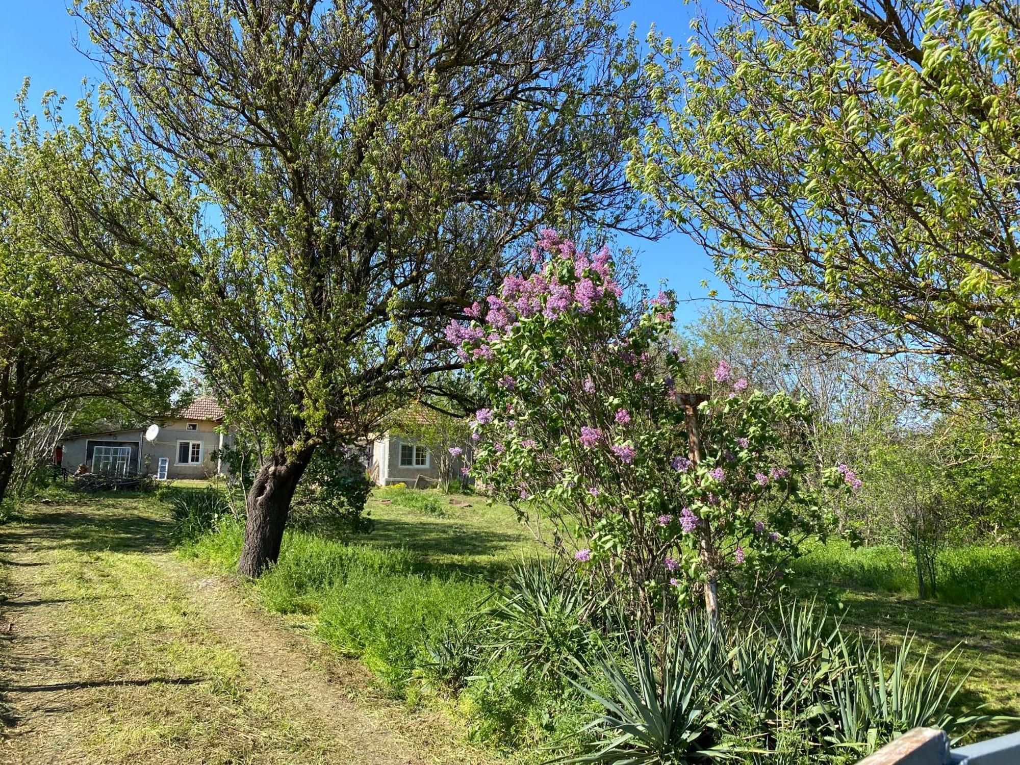 Ferienhaus Primorska Sunshine In Strandnaehe Şabla Exterior foto