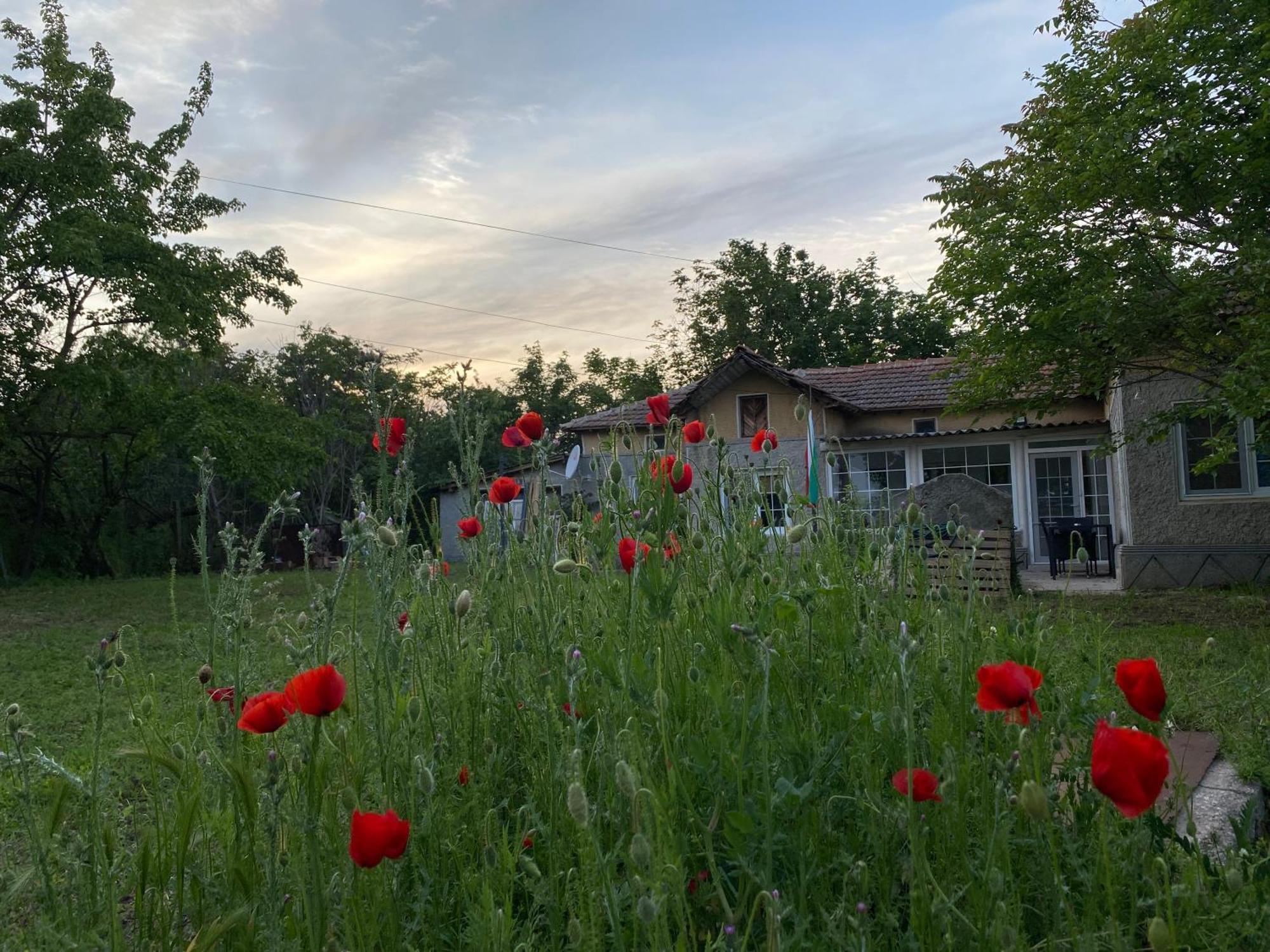 Ferienhaus Primorska Sunshine In Strandnaehe Şabla Exterior foto